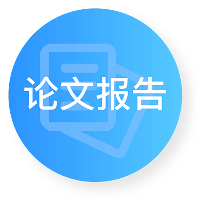 论文报告