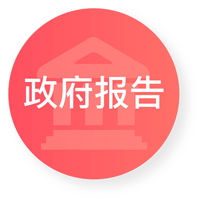 政府报告